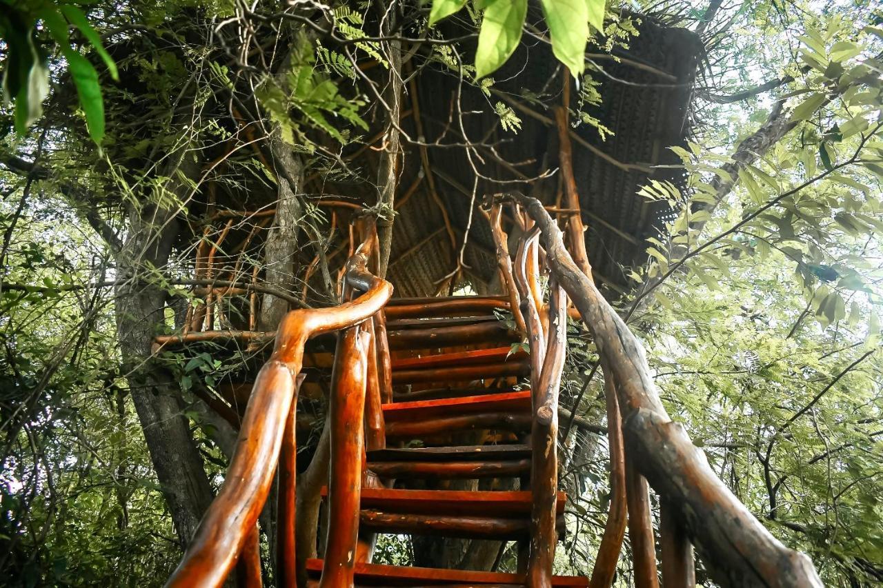 Dudley Nature Resort Habarana Exterior photo