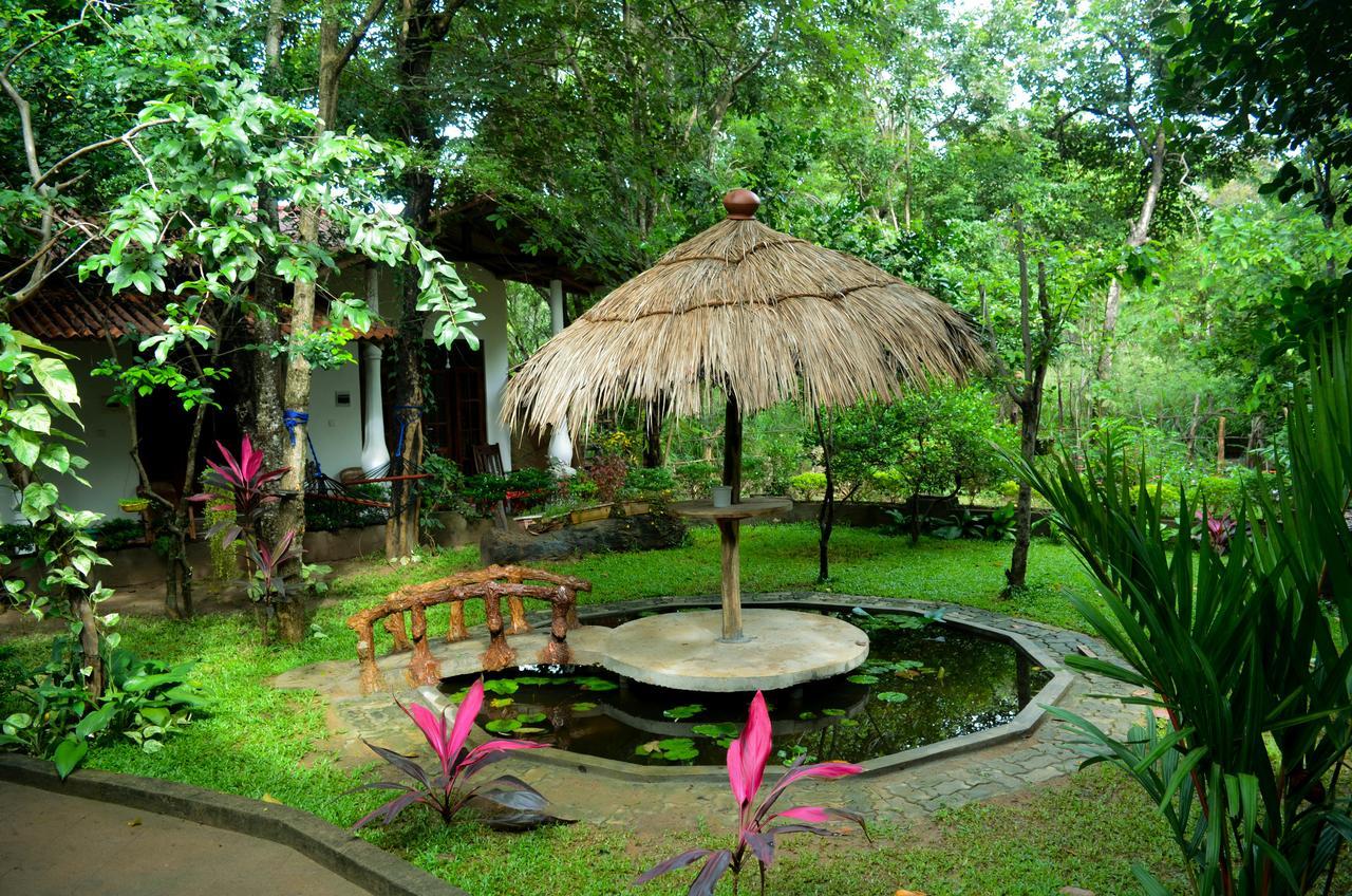 Dudley Nature Resort Habarana Exterior photo